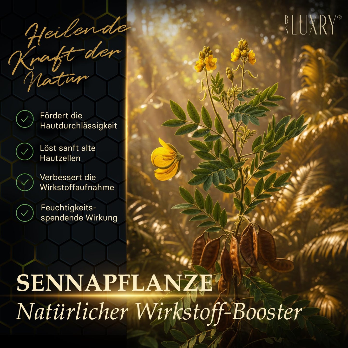 BS Luxry® Bienengift & Senna Anti-Falten Creme – 50 ml mit 1000 Bienenstichen – Hyaluron Booster & Bakuchiol – Luxuspflege für straffere Haut, Faltenreduzierung & empfindliche Haut